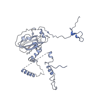 11642_7a5g_63_v1-0
Structure of the elongating human mitoribosome bound to mtEF-Tu.GMPPCP and A/T mt-tRNA
