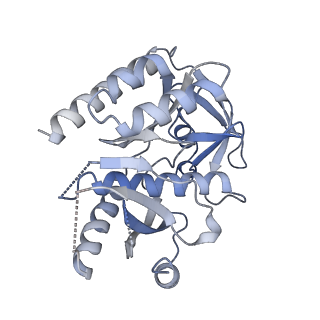11642_7a5g_73_v1-0
Structure of the elongating human mitoribosome bound to mtEF-Tu.GMPPCP and A/T mt-tRNA