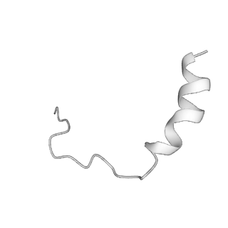 11642_7a5g_A5_v1-0
Structure of the elongating human mitoribosome bound to mtEF-Tu.GMPPCP and A/T mt-tRNA
