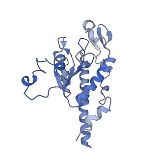 11642_7a5g_B6_v1-0
Structure of the elongating human mitoribosome bound to mtEF-Tu.GMPPCP and A/T mt-tRNA