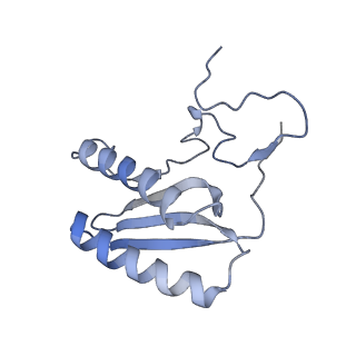 11642_7a5g_C6_v1-0
Structure of the elongating human mitoribosome bound to mtEF-Tu.GMPPCP and A/T mt-tRNA