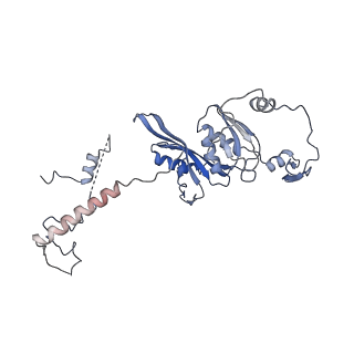11642_7a5g_D6_v1-0
Structure of the elongating human mitoribosome bound to mtEF-Tu.GMPPCP and A/T mt-tRNA