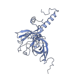 11642_7a5g_E3_v1-0
Structure of the elongating human mitoribosome bound to mtEF-Tu.GMPPCP and A/T mt-tRNA