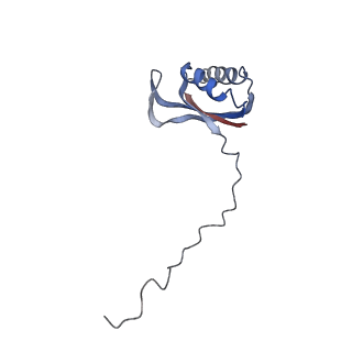 11642_7a5g_E6_v1-0
Structure of the elongating human mitoribosome bound to mtEF-Tu.GMPPCP and A/T mt-tRNA