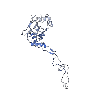 11642_7a5g_F3_v1-0
Structure of the elongating human mitoribosome bound to mtEF-Tu.GMPPCP and A/T mt-tRNA