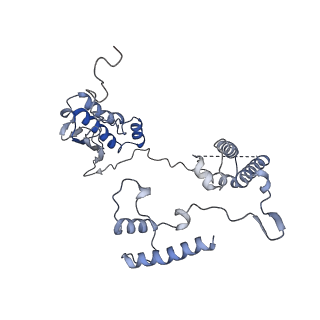 11642_7a5g_G6_v1-0
Structure of the elongating human mitoribosome bound to mtEF-Tu.GMPPCP and A/T mt-tRNA