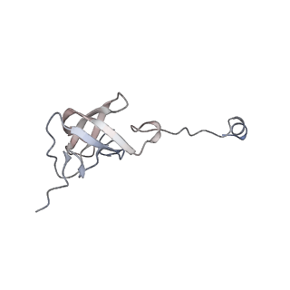 11642_7a5g_J6_v1-0
Structure of the elongating human mitoribosome bound to mtEF-Tu.GMPPCP and A/T mt-tRNA