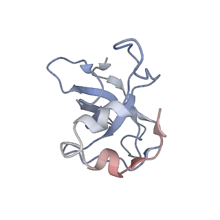 11642_7a5g_L3_v1-0
Structure of the elongating human mitoribosome bound to mtEF-Tu.GMPPCP and A/T mt-tRNA