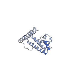 11642_7a5g_L6_v1-0
Structure of the elongating human mitoribosome bound to mtEF-Tu.GMPPCP and A/T mt-tRNA