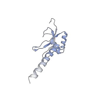 11642_7a5g_M6_v1-0
Structure of the elongating human mitoribosome bound to mtEF-Tu.GMPPCP and A/T mt-tRNA