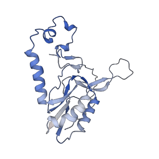 11642_7a5g_N3_v1-0
Structure of the elongating human mitoribosome bound to mtEF-Tu.GMPPCP and A/T mt-tRNA