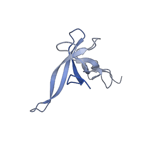 11642_7a5g_N6_v1-0
Structure of the elongating human mitoribosome bound to mtEF-Tu.GMPPCP and A/T mt-tRNA