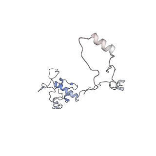 11642_7a5g_O6_v1-0
Structure of the elongating human mitoribosome bound to mtEF-Tu.GMPPCP and A/T mt-tRNA