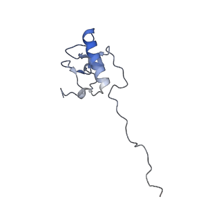 11642_7a5g_P6_v1-0
Structure of the elongating human mitoribosome bound to mtEF-Tu.GMPPCP and A/T mt-tRNA