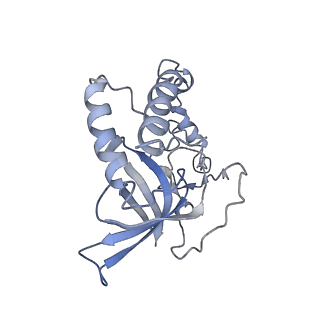 11642_7a5g_Q3_v1-0
Structure of the elongating human mitoribosome bound to mtEF-Tu.GMPPCP and A/T mt-tRNA