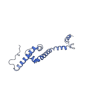 11642_7a5g_R3_v1-0
Structure of the elongating human mitoribosome bound to mtEF-Tu.GMPPCP and A/T mt-tRNA