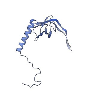11642_7a5g_S3_v1-0
Structure of the elongating human mitoribosome bound to mtEF-Tu.GMPPCP and A/T mt-tRNA