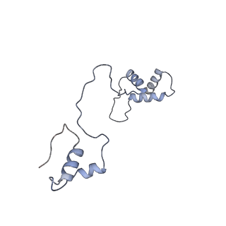11642_7a5g_S6_v1-0
Structure of the elongating human mitoribosome bound to mtEF-Tu.GMPPCP and A/T mt-tRNA