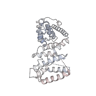 11642_7a5g_V6_v1-0
Structure of the elongating human mitoribosome bound to mtEF-Tu.GMPPCP and A/T mt-tRNA