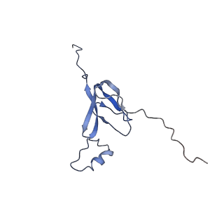 11642_7a5g_W3_v1-0
Structure of the elongating human mitoribosome bound to mtEF-Tu.GMPPCP and A/T mt-tRNA