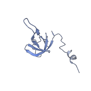 11642_7a5g_W6_v1-0
Structure of the elongating human mitoribosome bound to mtEF-Tu.GMPPCP and A/T mt-tRNA