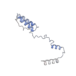 11642_7a5g_Y6_v1-0
Structure of the elongating human mitoribosome bound to mtEF-Tu.GMPPCP and A/T mt-tRNA