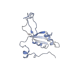 11642_7a5g_Z3_v1-0
Structure of the elongating human mitoribosome bound to mtEF-Tu.GMPPCP and A/T mt-tRNA