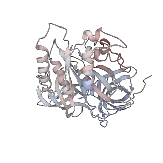 11642_7a5g_Z_v1-0
Structure of the elongating human mitoribosome bound to mtEF-Tu.GMPPCP and A/T mt-tRNA