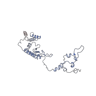 11642_7a5g_b6_v1-0
Structure of the elongating human mitoribosome bound to mtEF-Tu.GMPPCP and A/T mt-tRNA