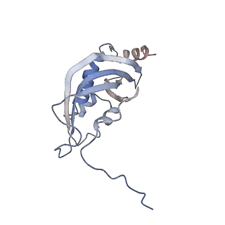11642_7a5g_d3_v1-0
Structure of the elongating human mitoribosome bound to mtEF-Tu.GMPPCP and A/T mt-tRNA