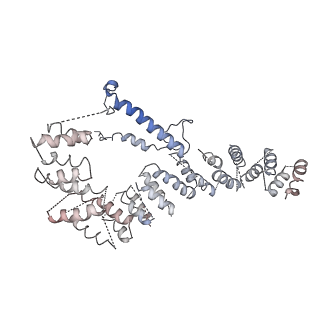 11642_7a5g_e6_v1-0
Structure of the elongating human mitoribosome bound to mtEF-Tu.GMPPCP and A/T mt-tRNA