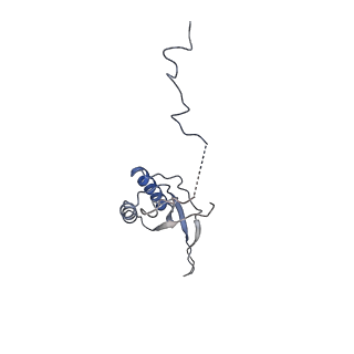 11642_7a5g_f3_v1-0
Structure of the elongating human mitoribosome bound to mtEF-Tu.GMPPCP and A/T mt-tRNA