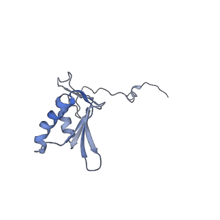 11642_7a5g_g3_v1-0
Structure of the elongating human mitoribosome bound to mtEF-Tu.GMPPCP and A/T mt-tRNA