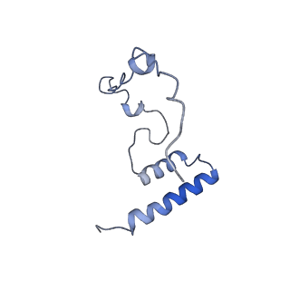 11642_7a5g_i3_v1-0
Structure of the elongating human mitoribosome bound to mtEF-Tu.GMPPCP and A/T mt-tRNA