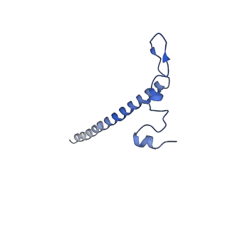 11642_7a5g_j3_v1-0
Structure of the elongating human mitoribosome bound to mtEF-Tu.GMPPCP and A/T mt-tRNA