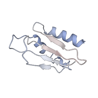 11642_7a5g_k3_v1-0
Structure of the elongating human mitoribosome bound to mtEF-Tu.GMPPCP and A/T mt-tRNA