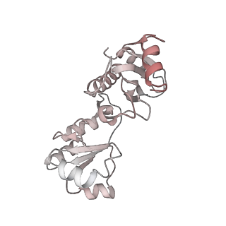 11642_7a5g_n_v1-0
Structure of the elongating human mitoribosome bound to mtEF-Tu.GMPPCP and A/T mt-tRNA