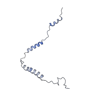11642_7a5g_o3_v1-0
Structure of the elongating human mitoribosome bound to mtEF-Tu.GMPPCP and A/T mt-tRNA