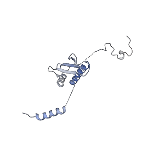 11642_7a5g_p3_v1-0
Structure of the elongating human mitoribosome bound to mtEF-Tu.GMPPCP and A/T mt-tRNA