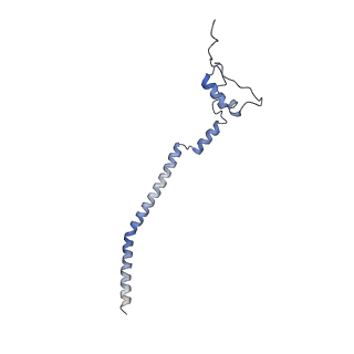 11642_7a5g_q3_v1-0
Structure of the elongating human mitoribosome bound to mtEF-Tu.GMPPCP and A/T mt-tRNA