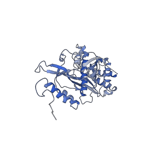 11642_7a5g_s3_v1-0
Structure of the elongating human mitoribosome bound to mtEF-Tu.GMPPCP and A/T mt-tRNA