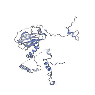 11643_7a5h_6_v1-0
Structure of the split human mitoribosomal large subunit with rescue factors mtRF-R and MTRES1