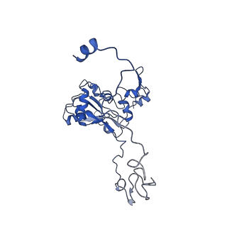 11643_7a5h_M_v1-0
Structure of the split human mitoribosomal large subunit with rescue factors mtRF-R and MTRES1
