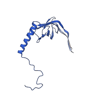 11643_7a5h_S_v1-0
Structure of the split human mitoribosomal large subunit with rescue factors mtRF-R and MTRES1