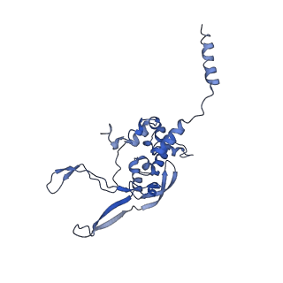 11643_7a5h_X_v1-0
Structure of the split human mitoribosomal large subunit with rescue factors mtRF-R and MTRES1