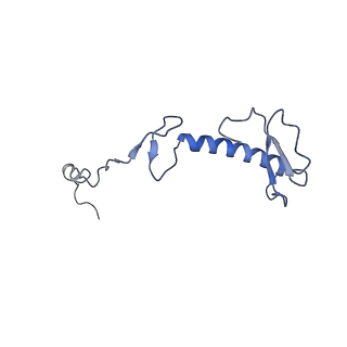 11644_7a5i_03_v1-0
Structure of the human mitoribosome with A- P-and E-site mt-tRNAs