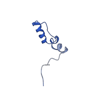 11644_7a5i_23_v1-0
Structure of the human mitoribosome with A- P-and E-site mt-tRNAs