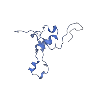 11644_7a5i_33_v1-0
Structure of the human mitoribosome with A- P-and E-site mt-tRNAs
