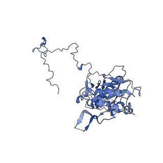 11644_7a5i_53_v1-0
Structure of the human mitoribosome with A- P-and E-site mt-tRNAs