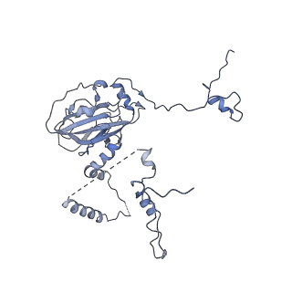 11644_7a5i_63_v1-0
Structure of the human mitoribosome with A- P-and E-site mt-tRNAs